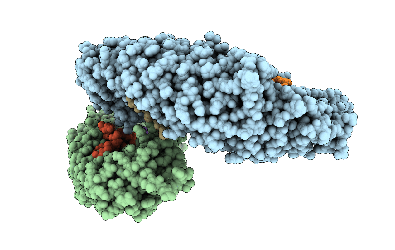 5B56 image