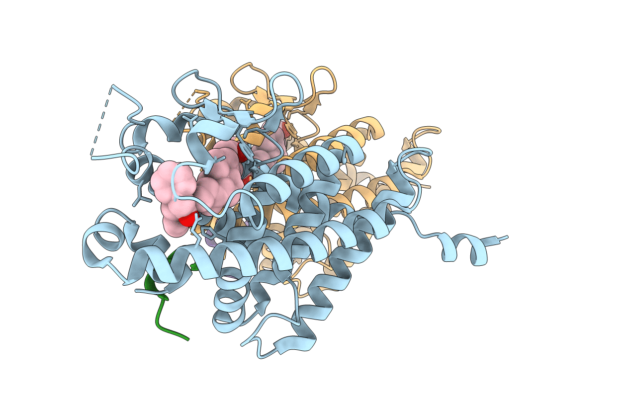 5B5B image