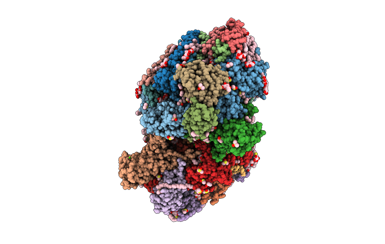 5B5E image
