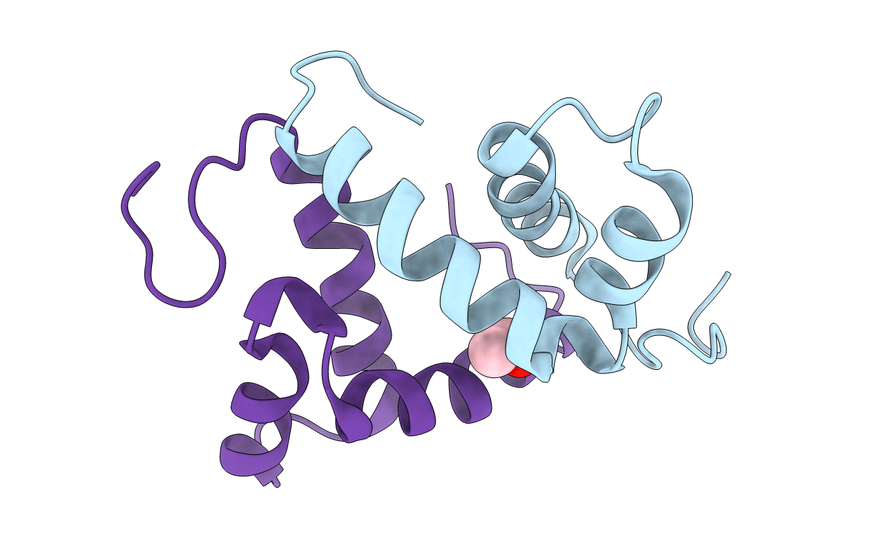 5B5I image