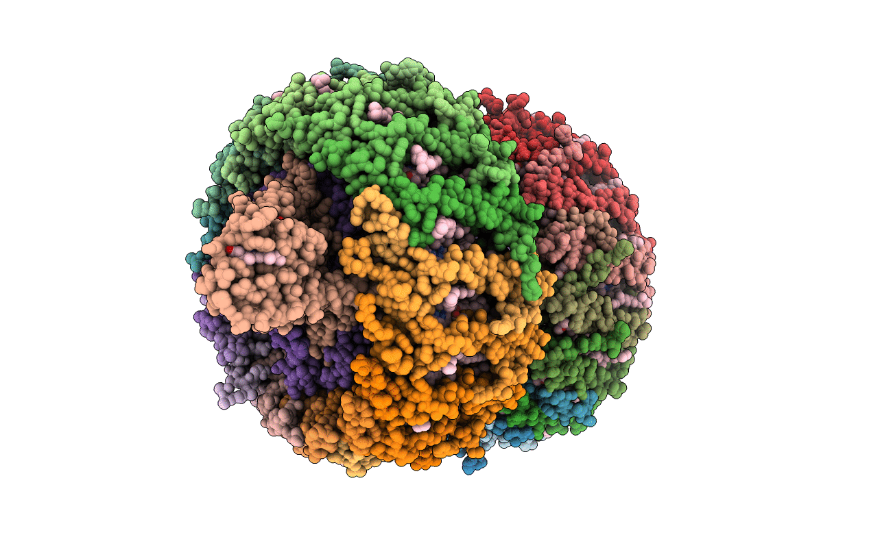 5B5M image