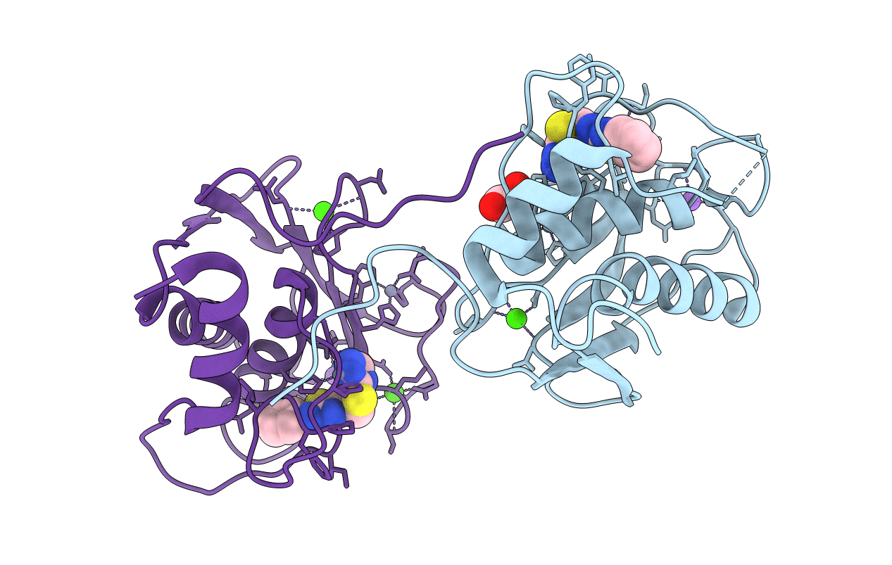 5B5O image