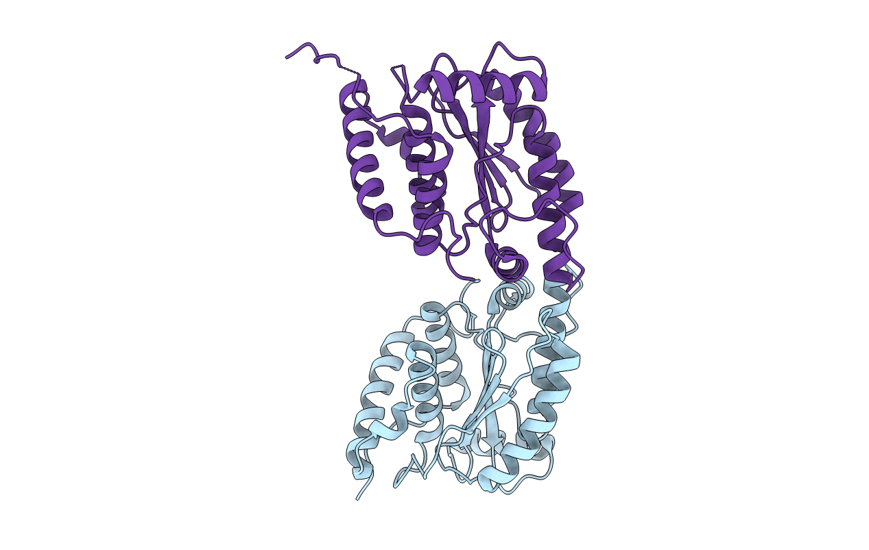 5B5Q image