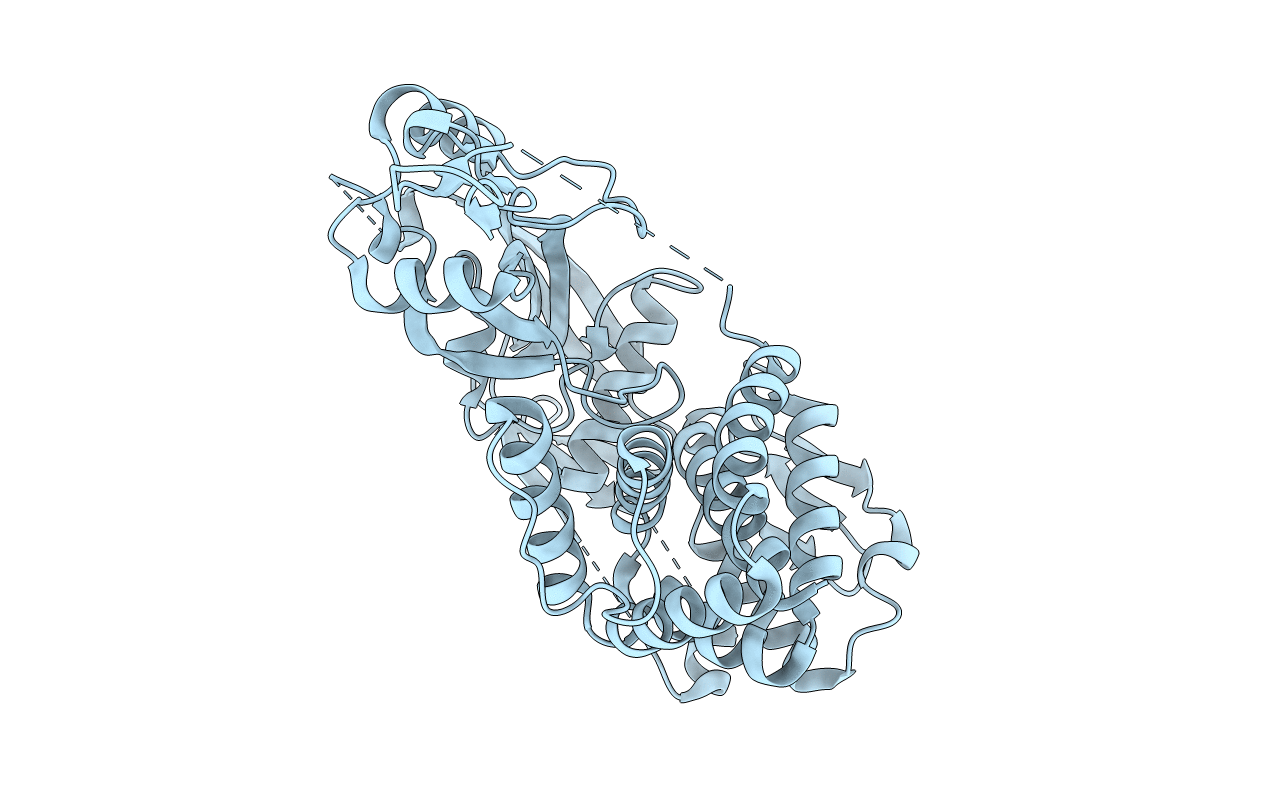 5B5R image