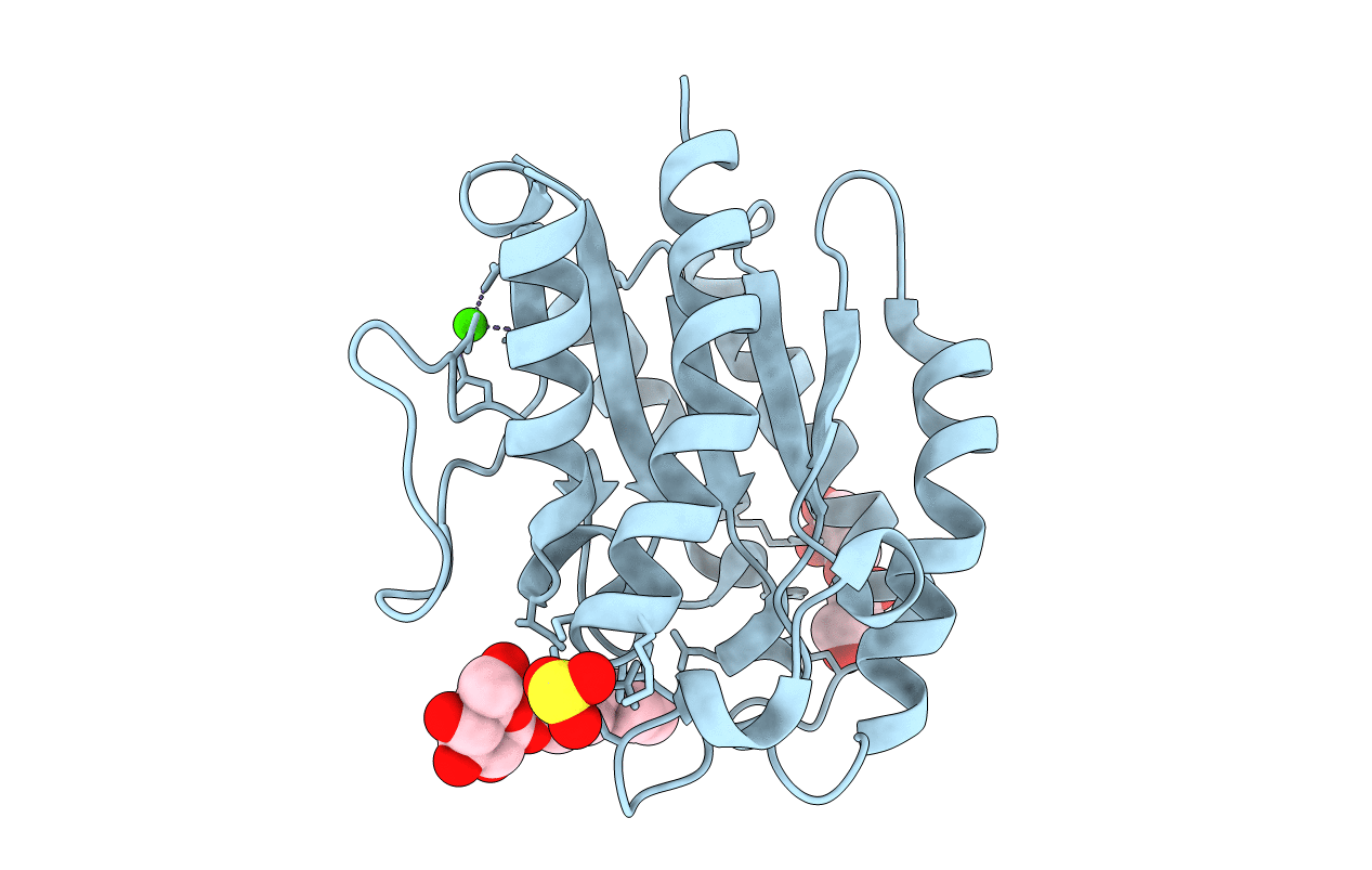 5B5S image