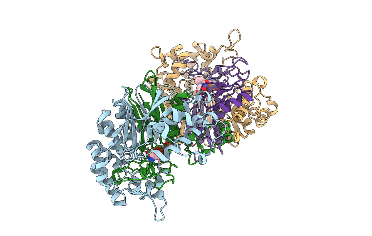 5B5T image