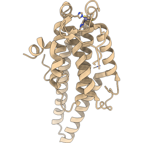 5B5W image