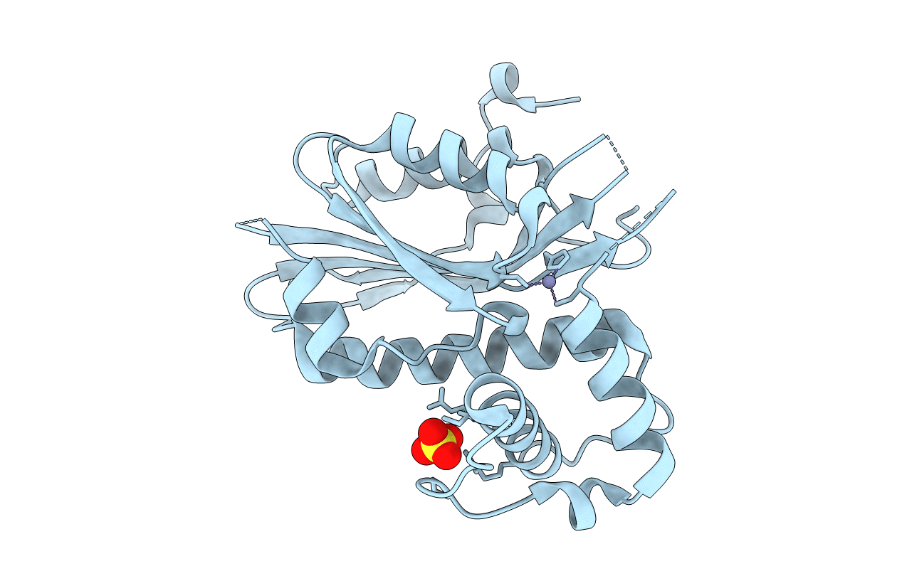 5B5X image