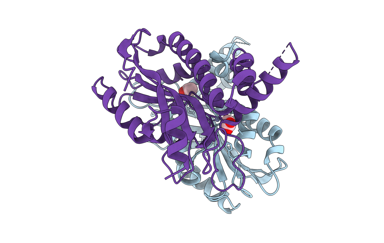 5B5Y image