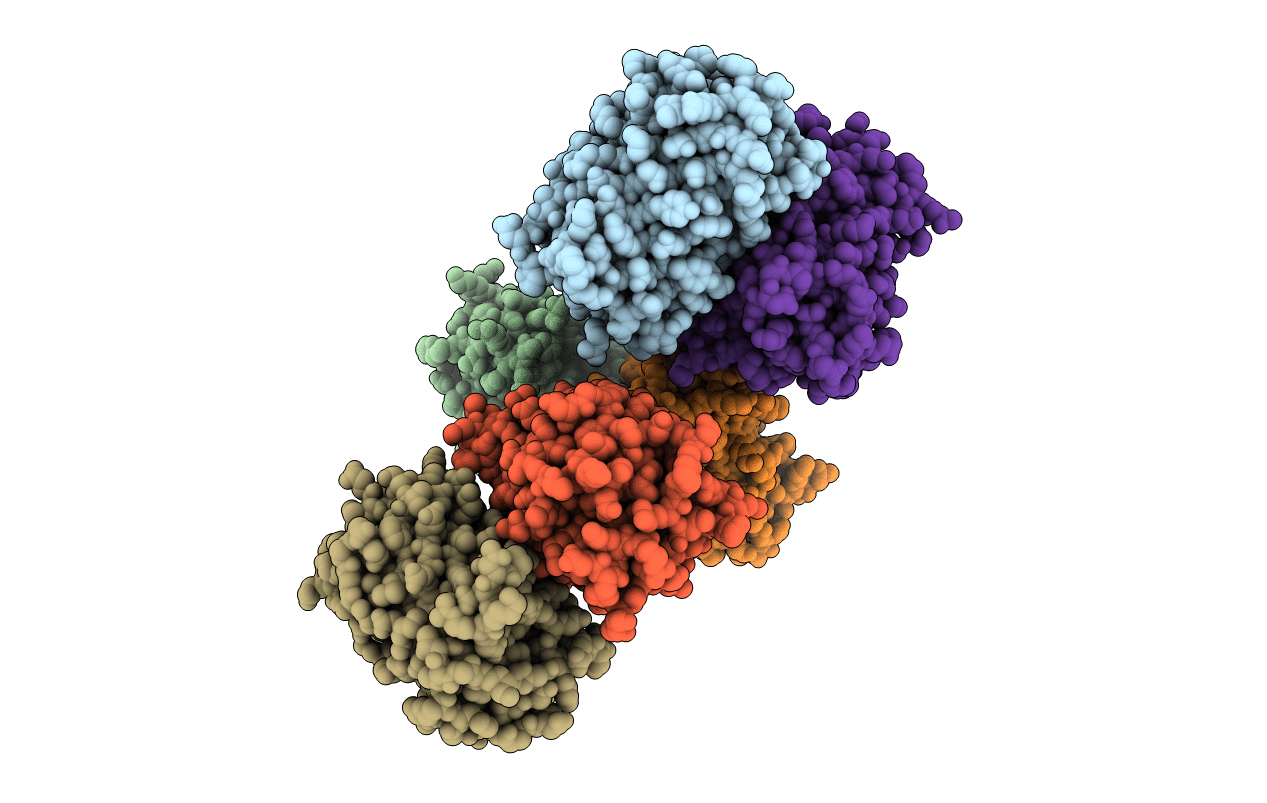 5B61 image