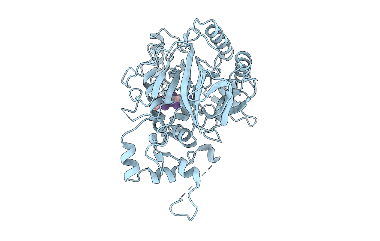 5B62 image