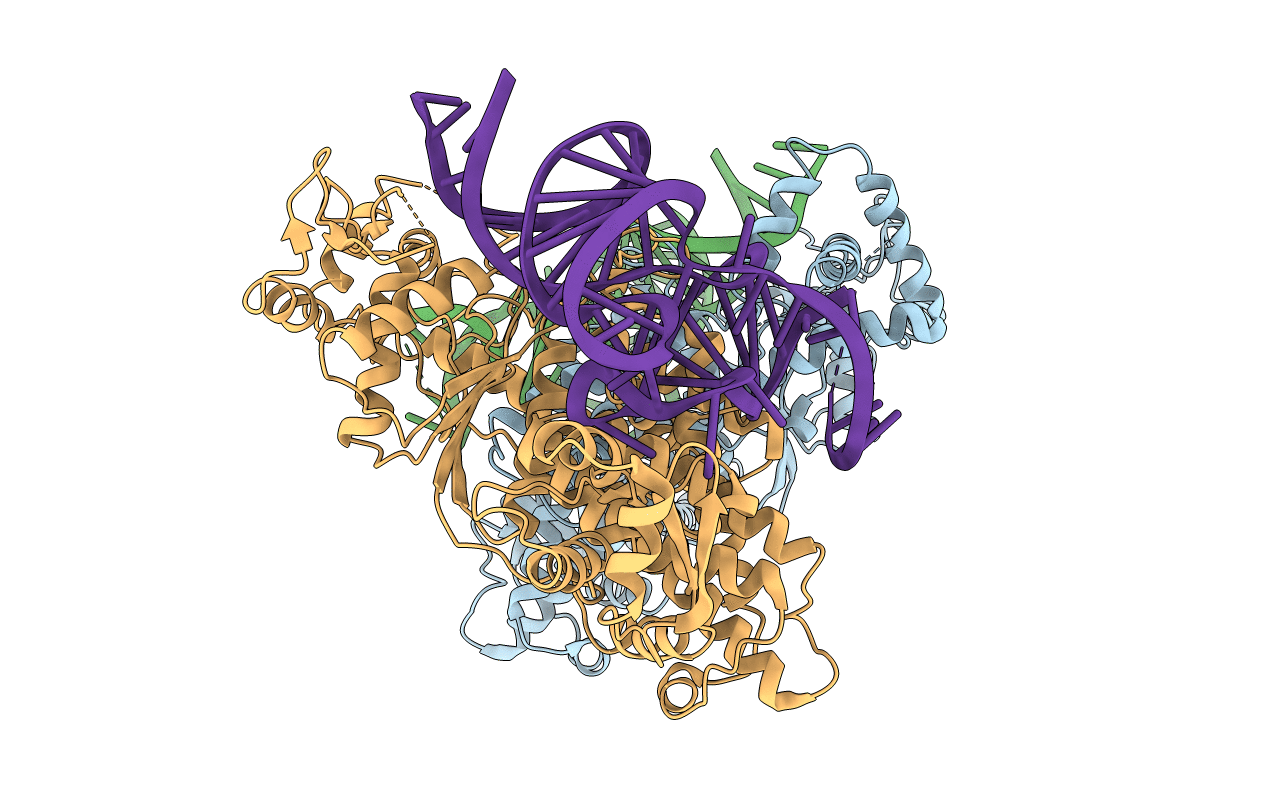 5B63 image