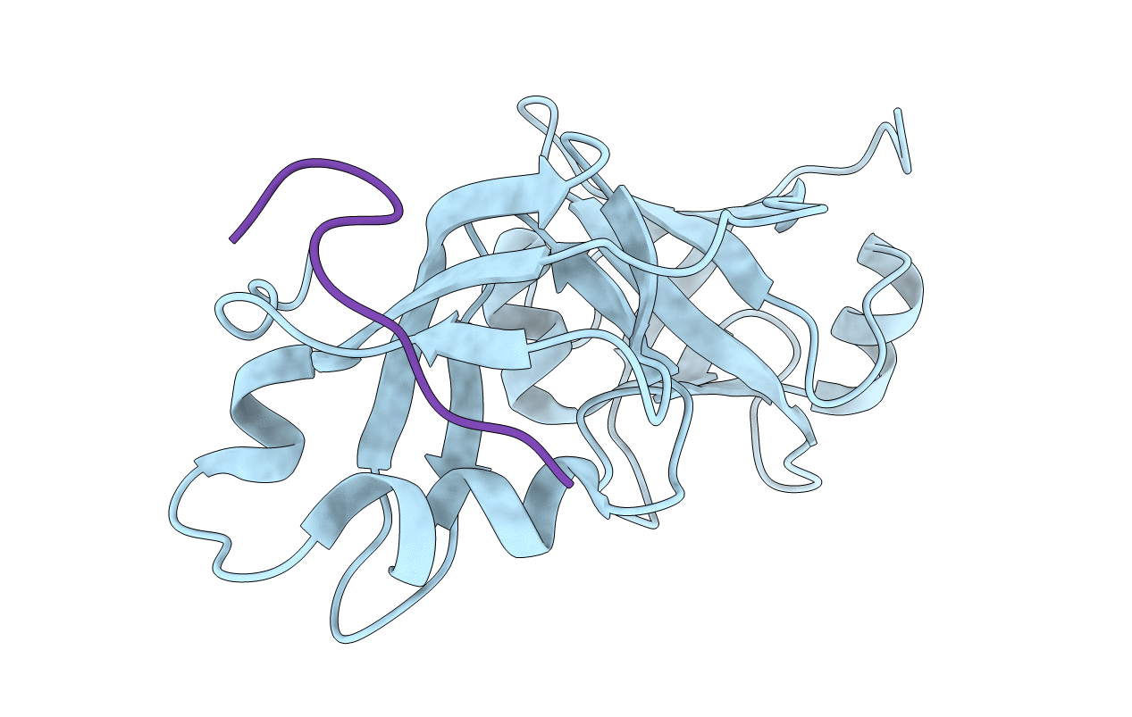 5B6C image