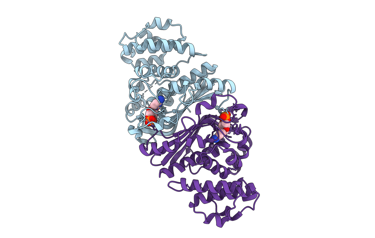 5B6D image