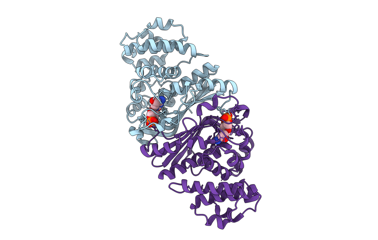 5B6E image
