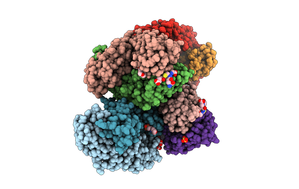 5B6F image