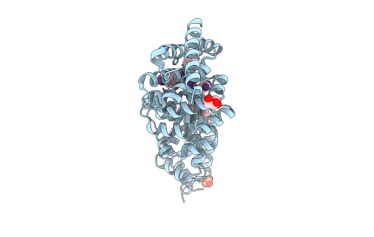 5B6G image