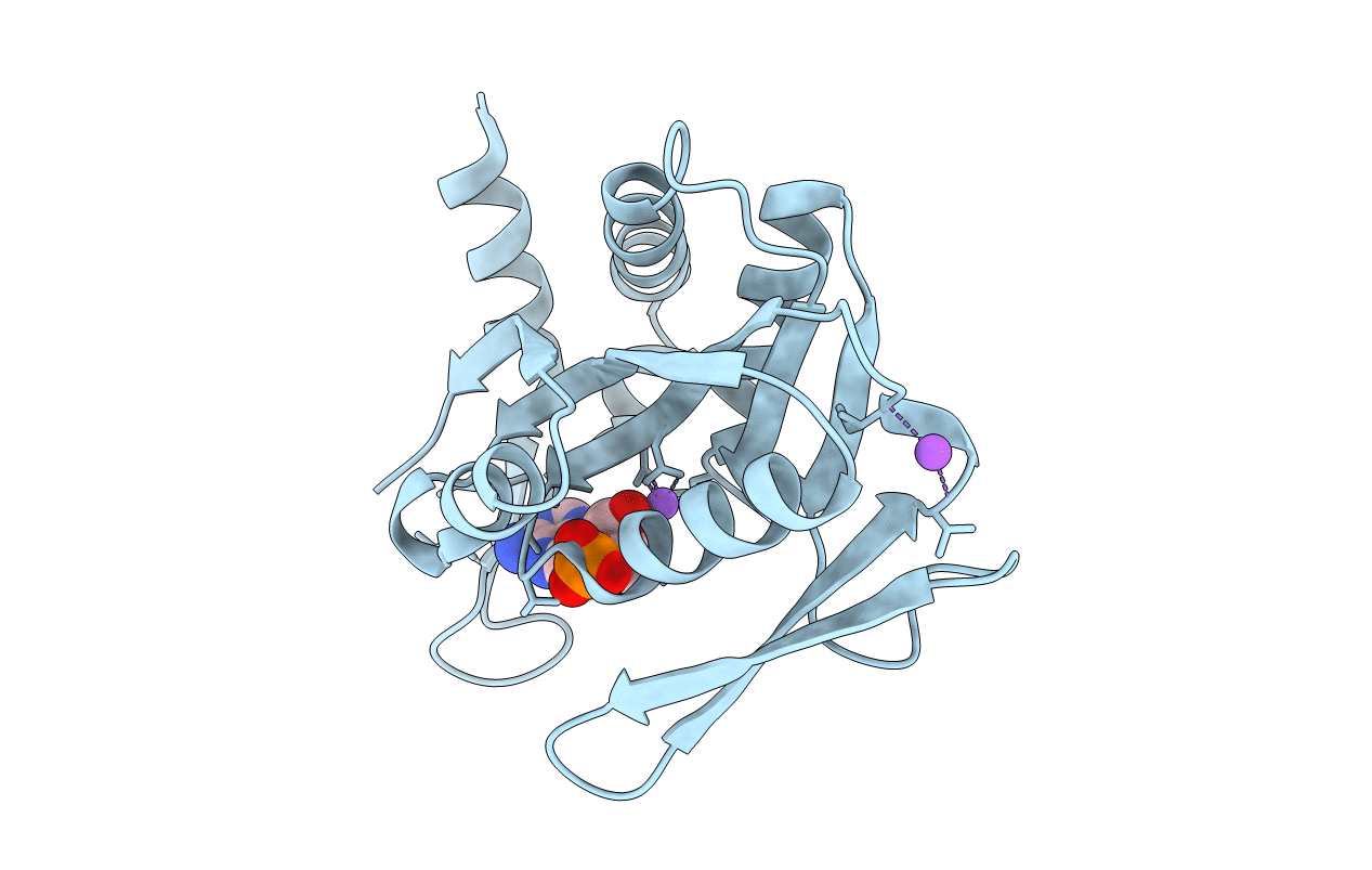 5B6H image