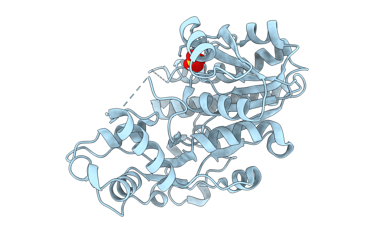 5B6K image