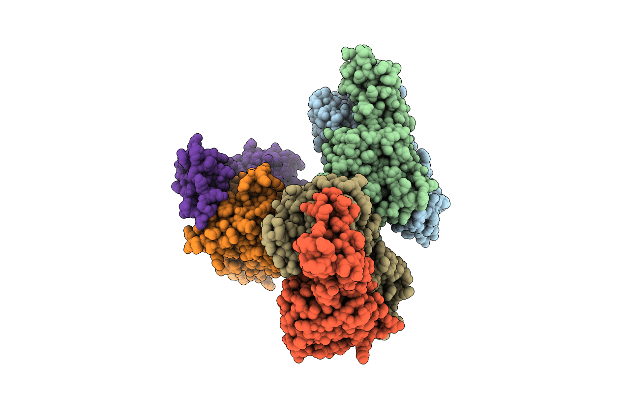 5B6M image