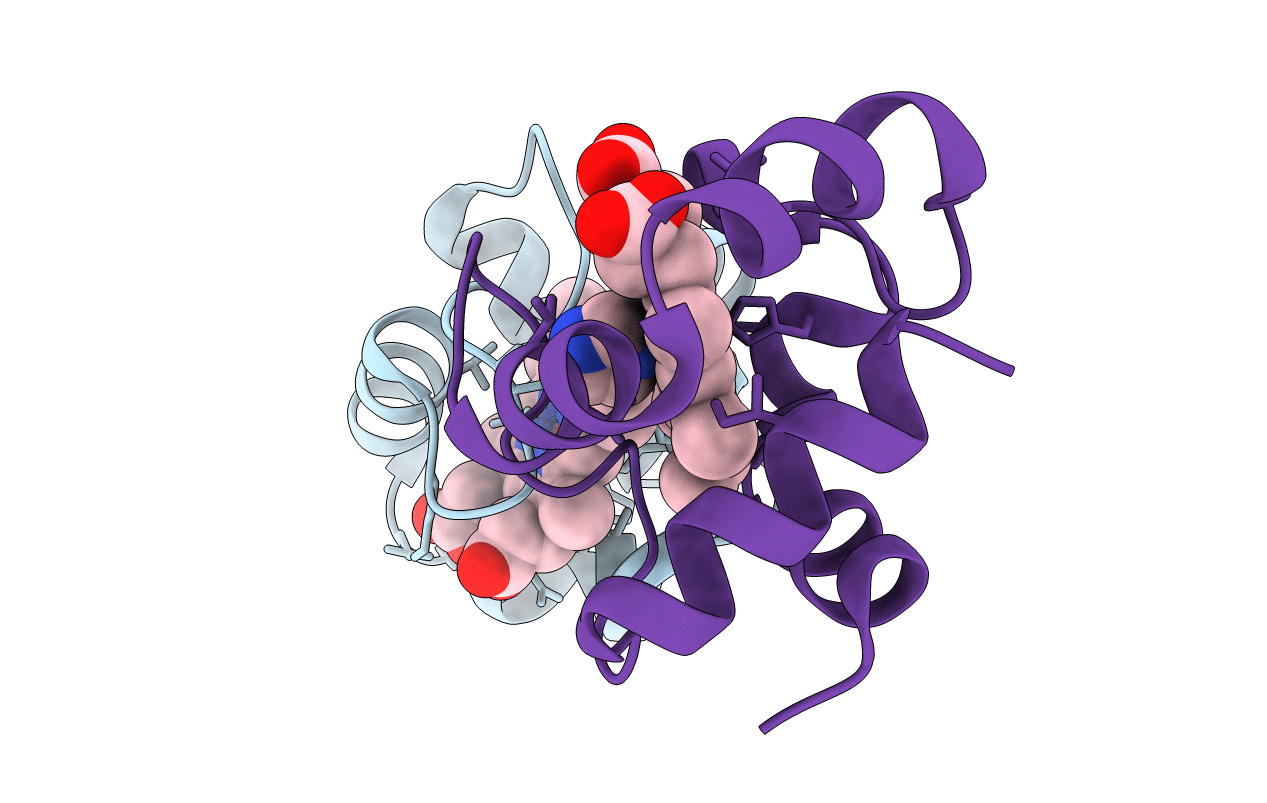 5B6Q image
