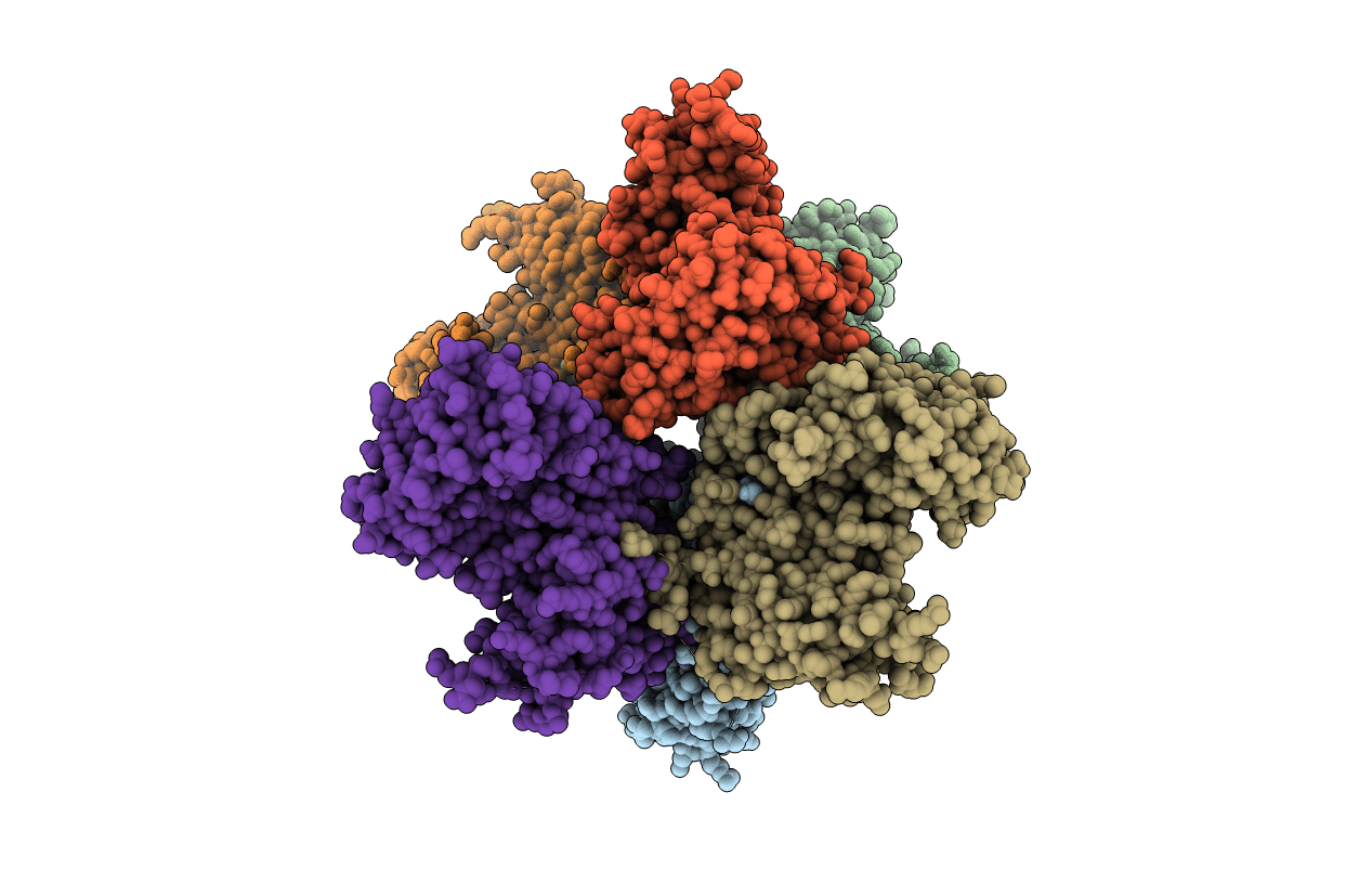 5B7B image