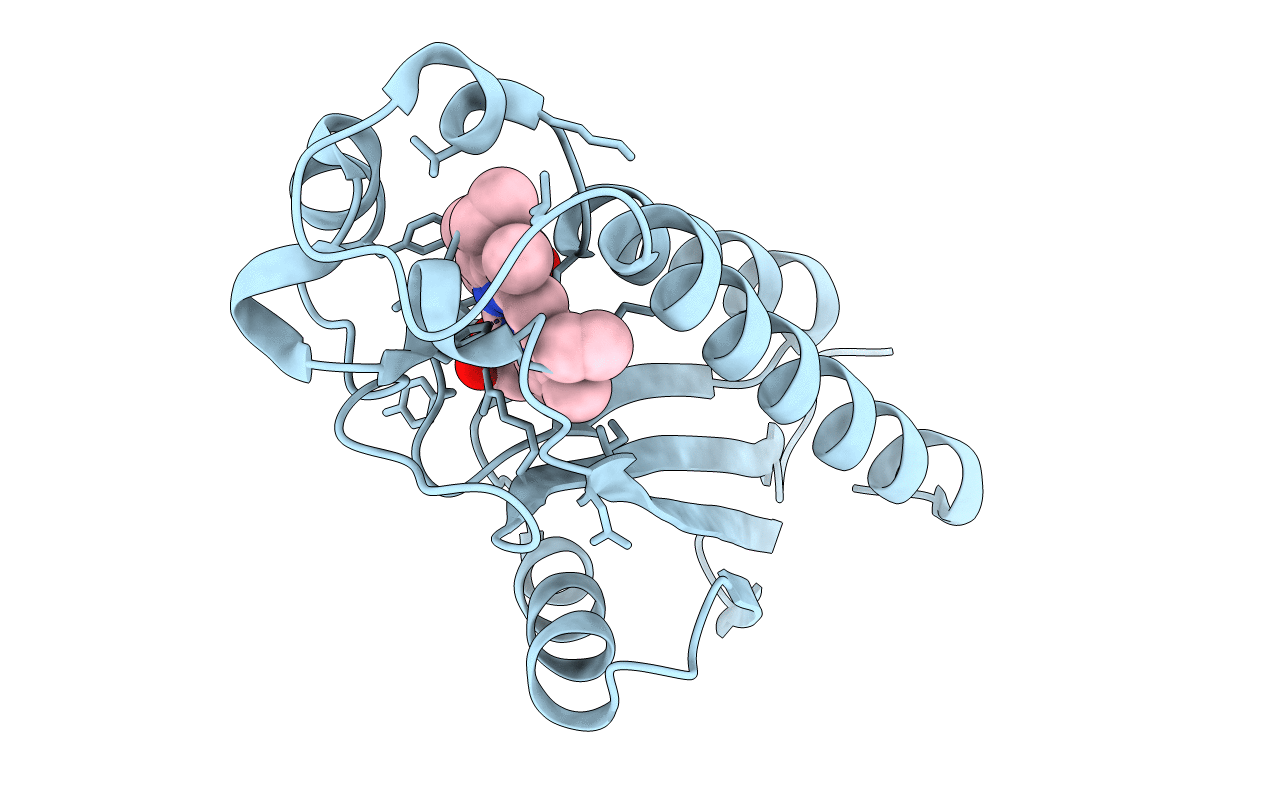 5B82 image