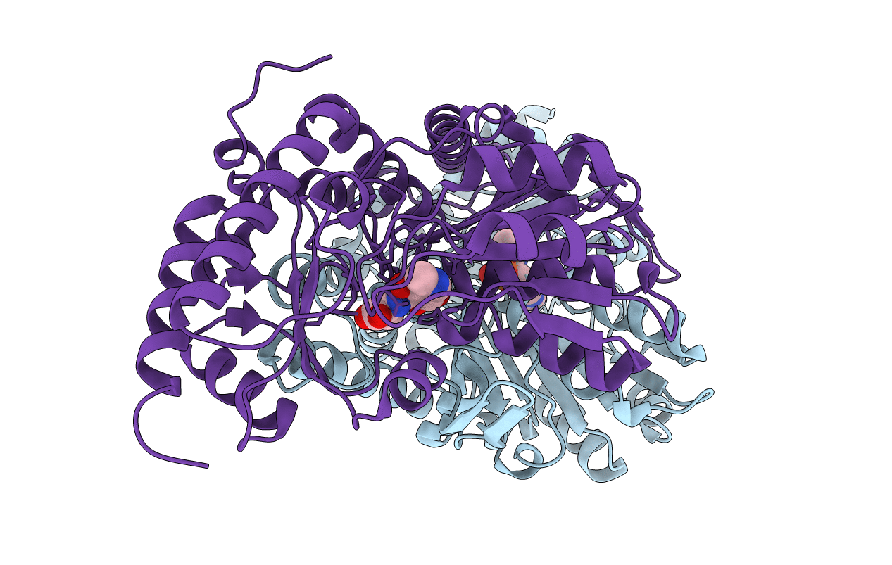 5B87 image