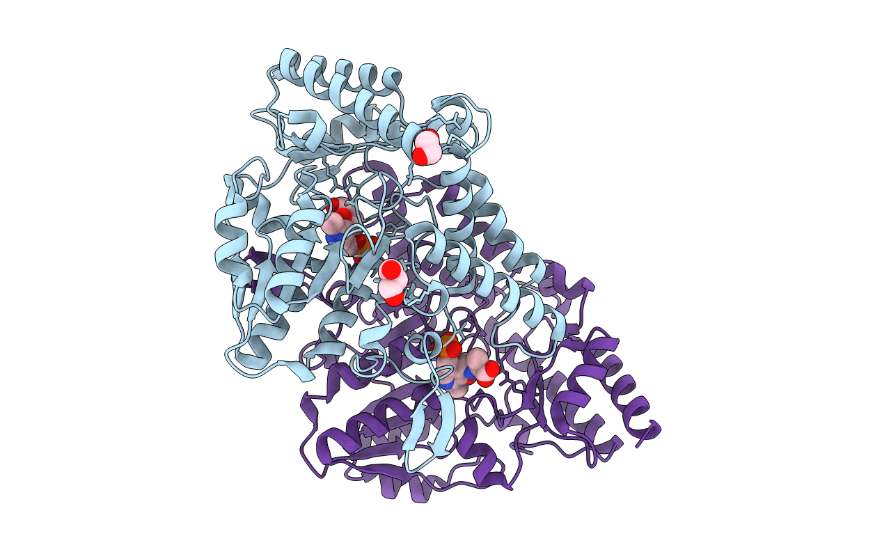 5B89 image