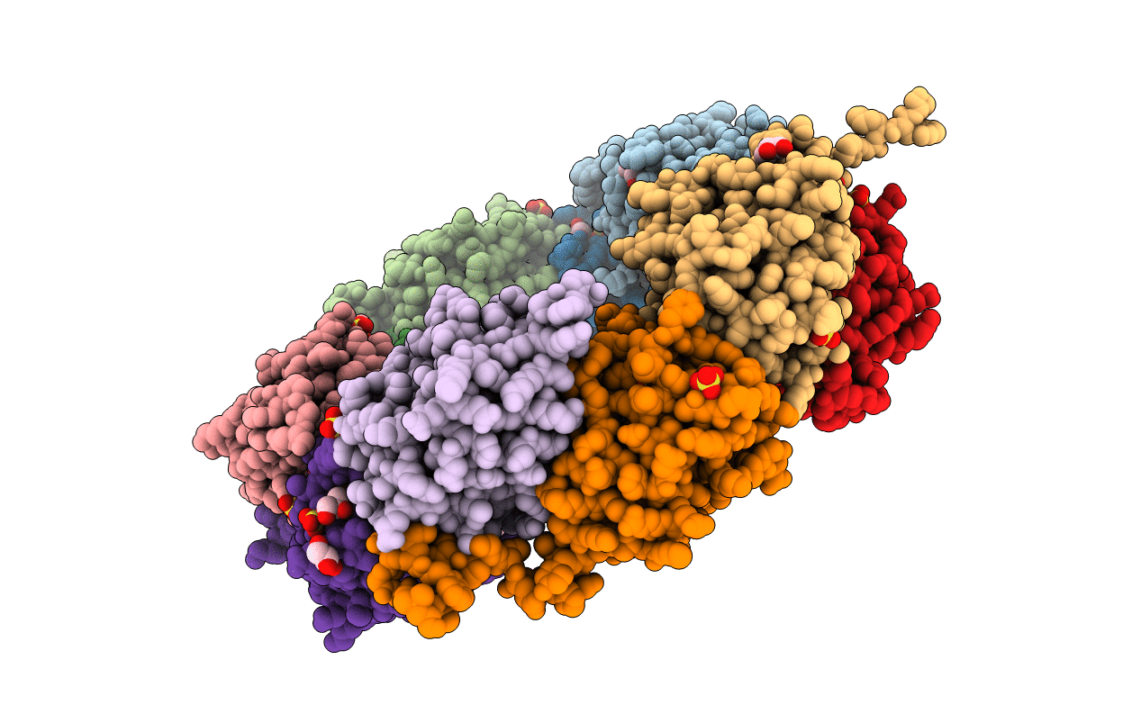 5B8A image