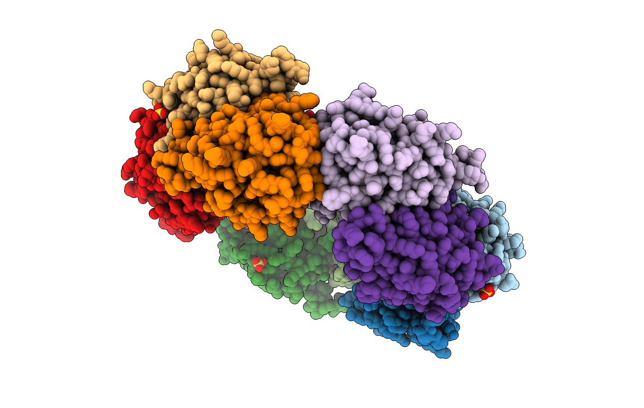 5B8B image