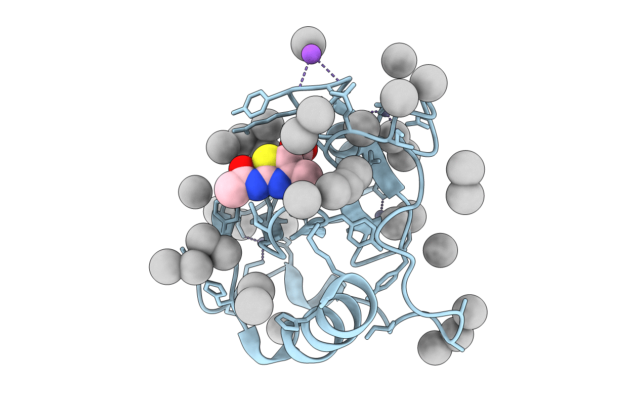 5B8D image