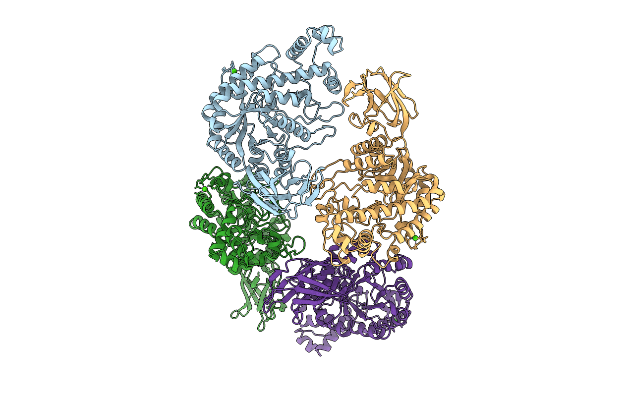 5BCA image