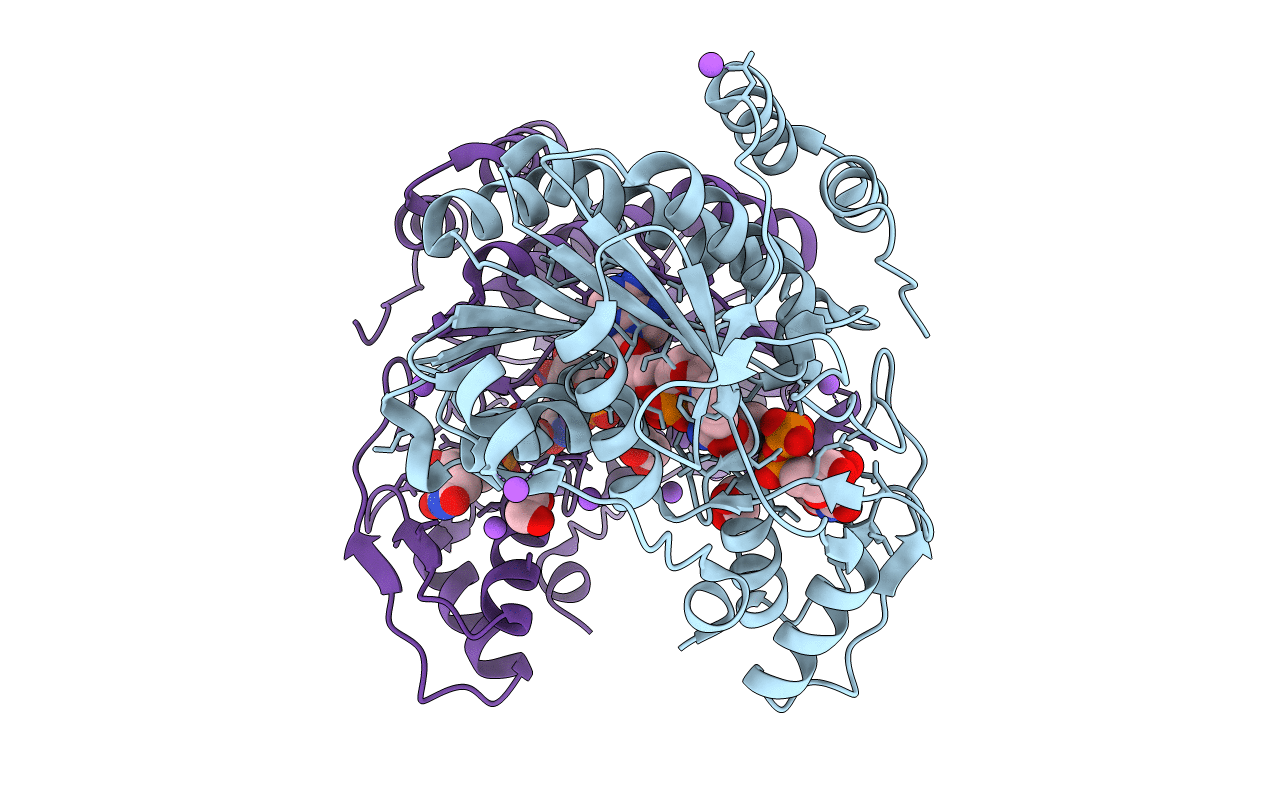 5BJX image