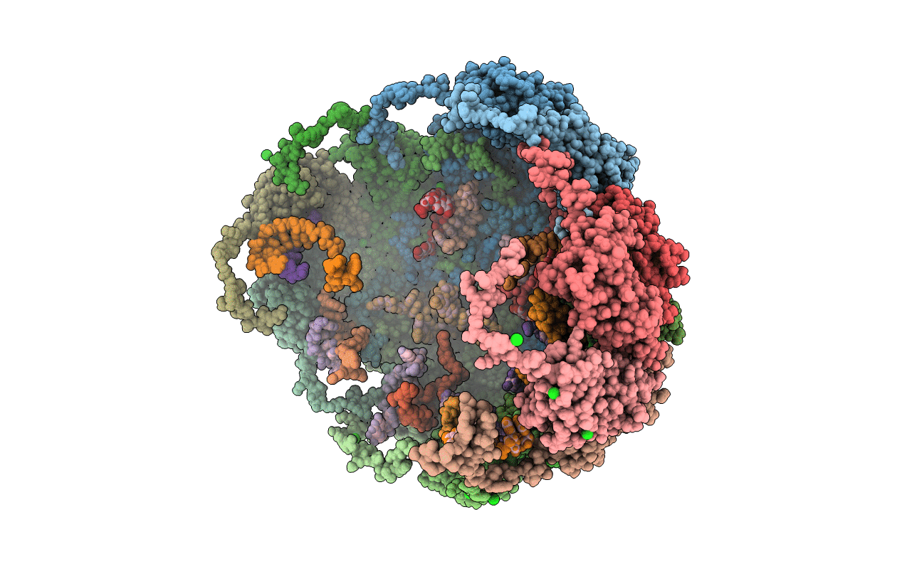 5BKN image