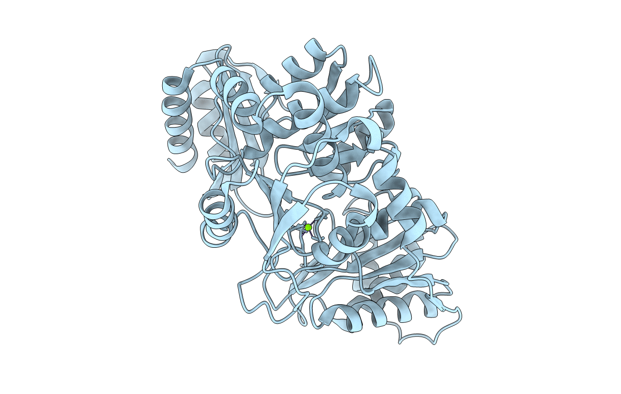 5BMN image