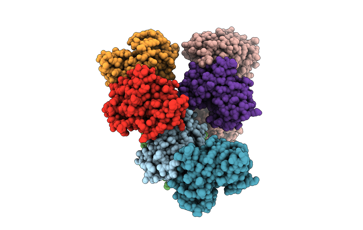 5BMU image