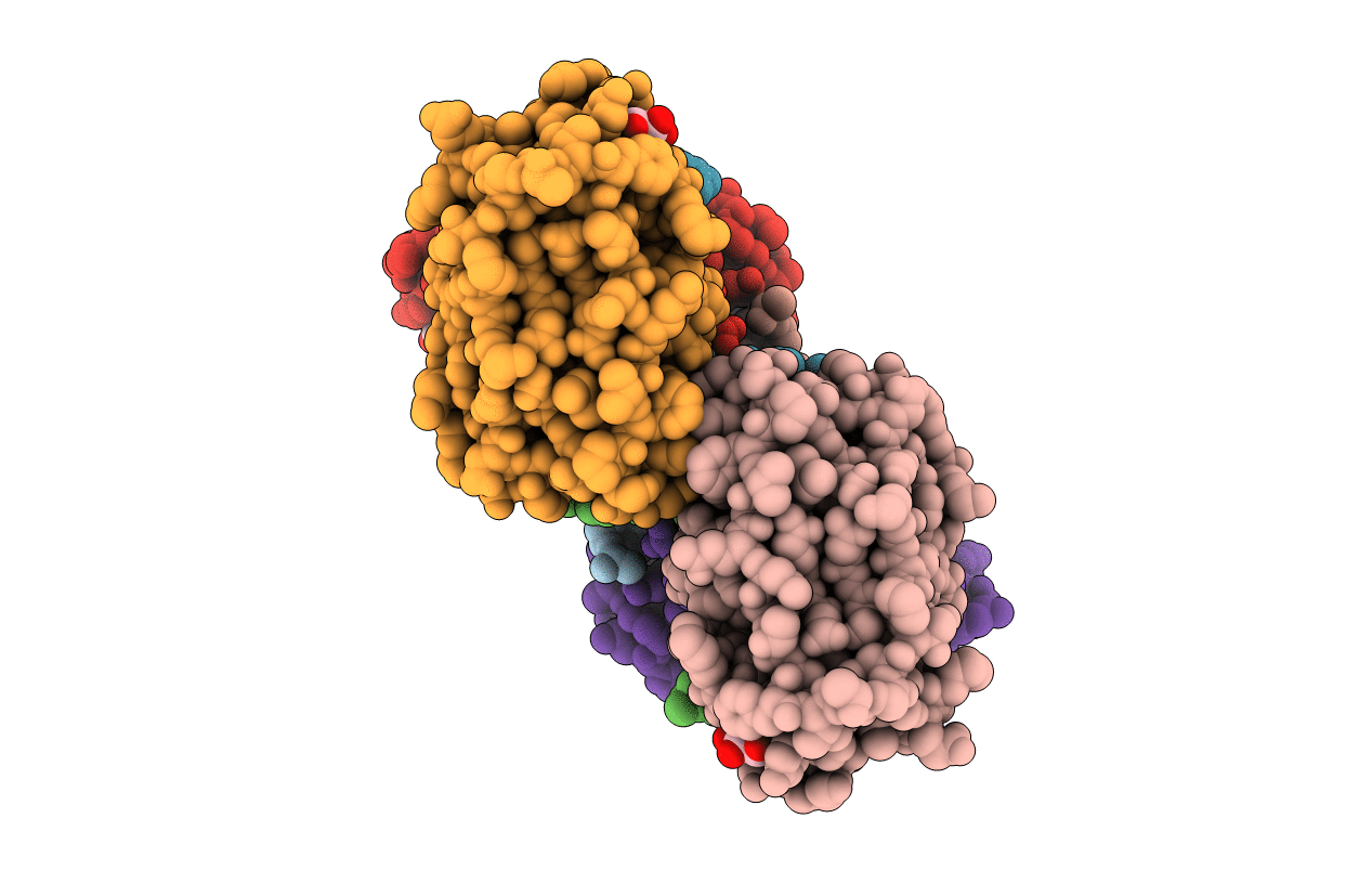 5BN6 image