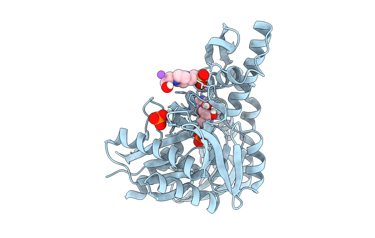 5BN9 image