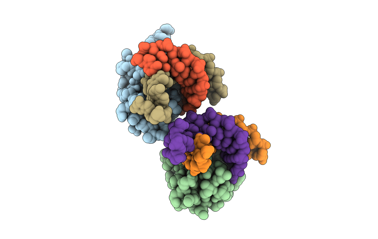 5BNG image
