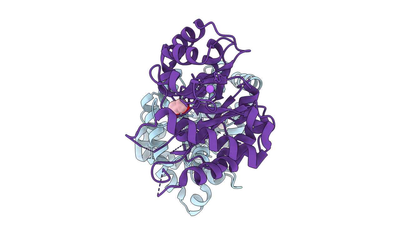 5bnk image