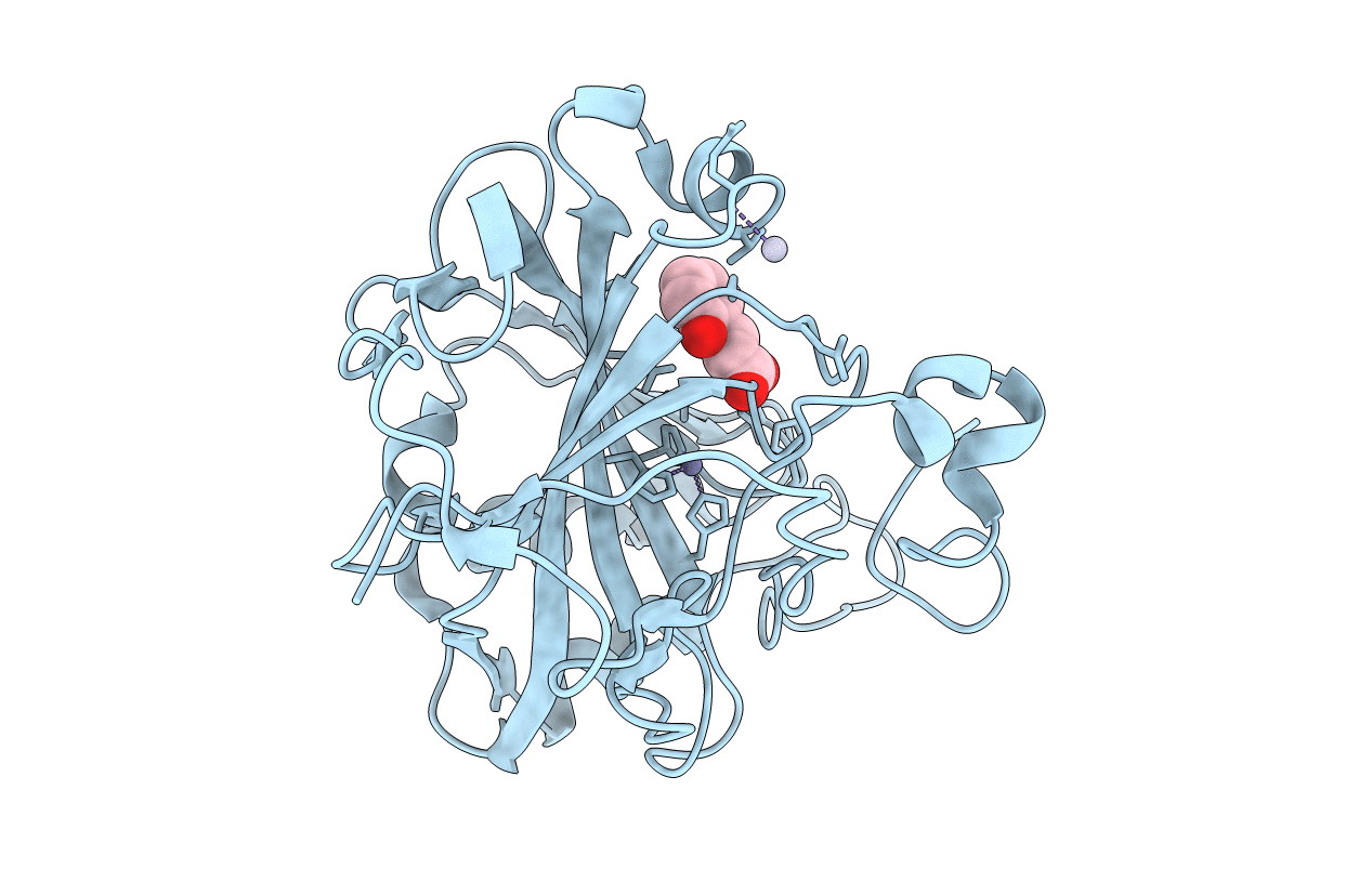 5BNL image