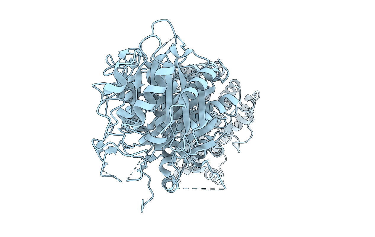 5BP1 image