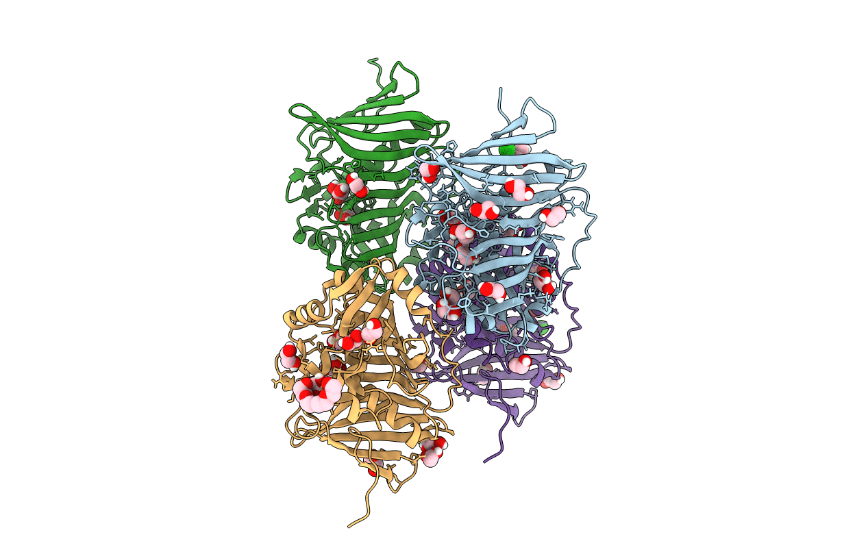 5BP2 image