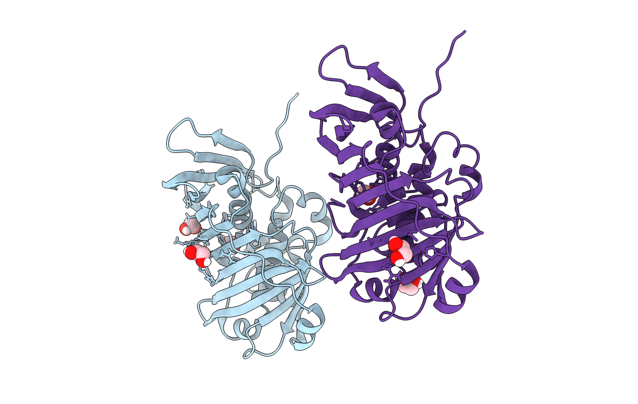 5BP3 image