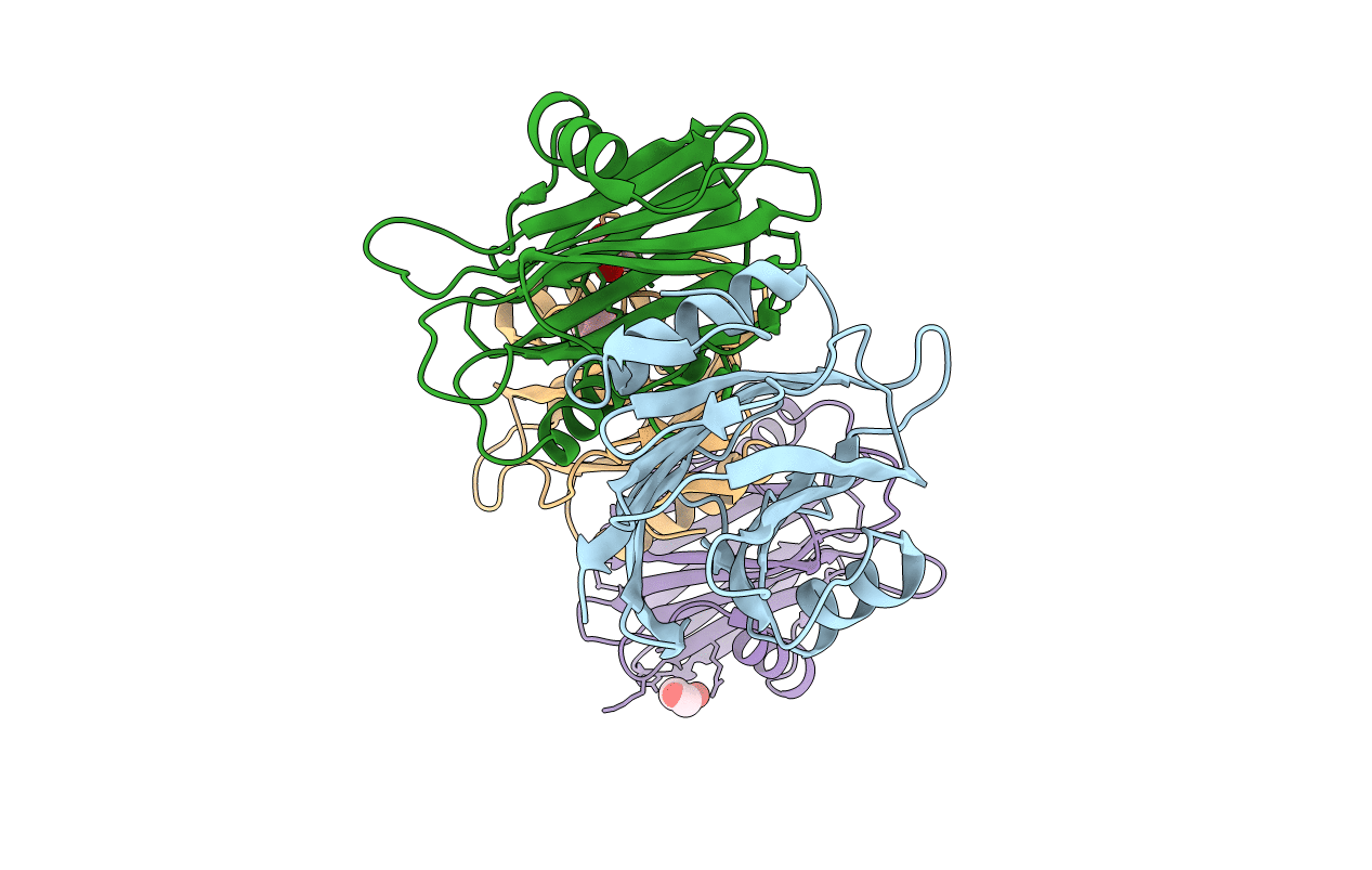 5BPG image