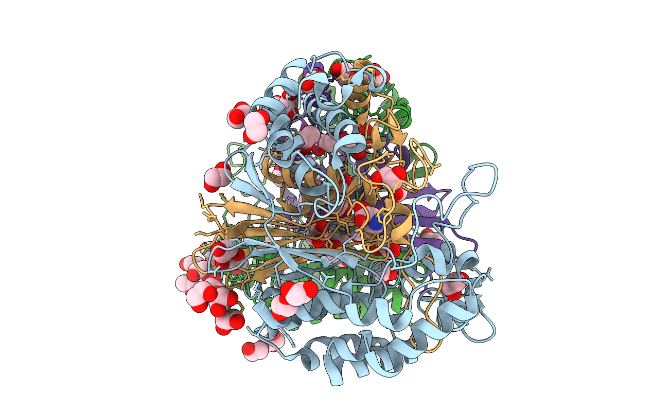 5BPK image