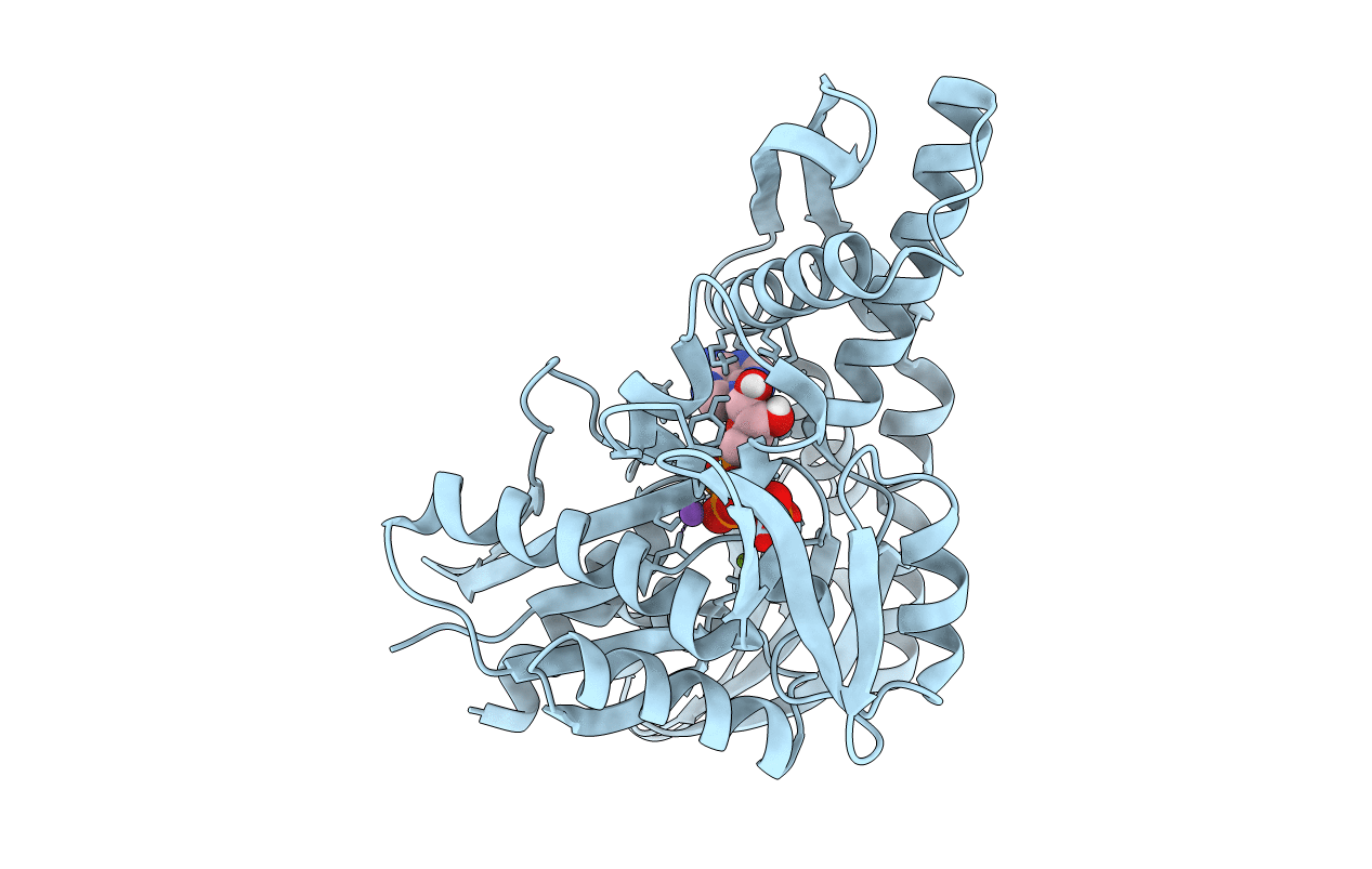 5bpm image