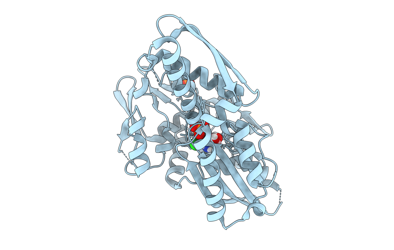 5bpn image