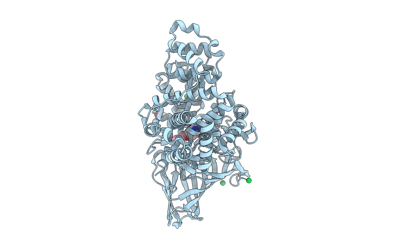 5BPP image